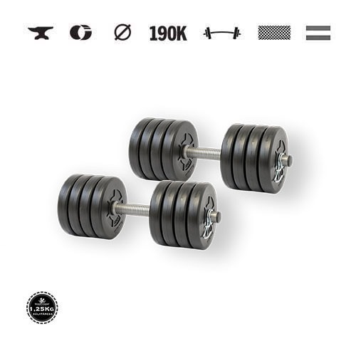 GazoFitness® Jednoručné činky 2 × 10,5 kg (spolu 21 kg) s kotúčmi 1,25 kg